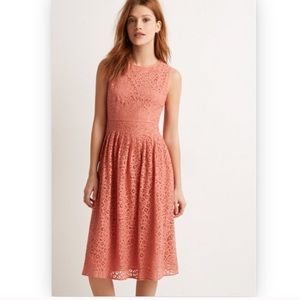 🎈 lace Forever 21 dress NWT